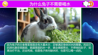 十万个为什么语音版