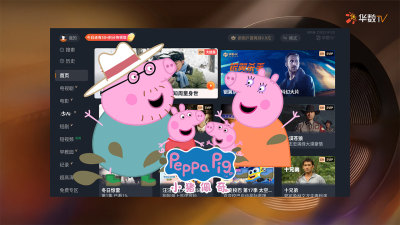 华数TV