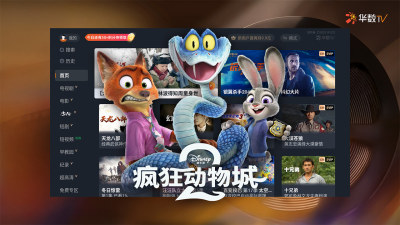 华数TV